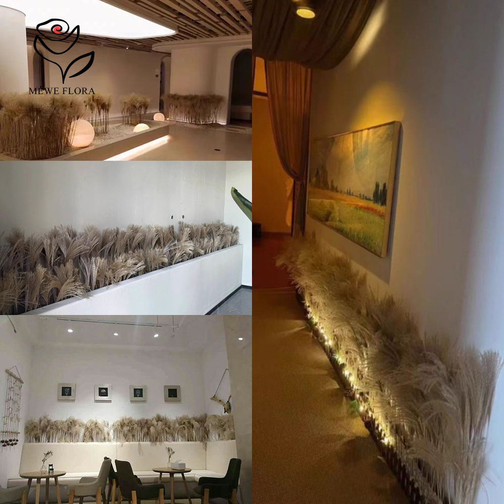 200PCS Natural Dried Fluffy Re - огляд і ціна Luxury Lifestyle Items